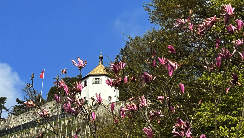 Schloss Rosenberg in Berneck. Schloss Rosenberg in Berneck.