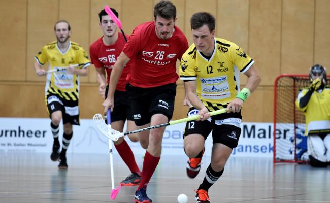 Gators erreichen mit Sieg die Playoffs