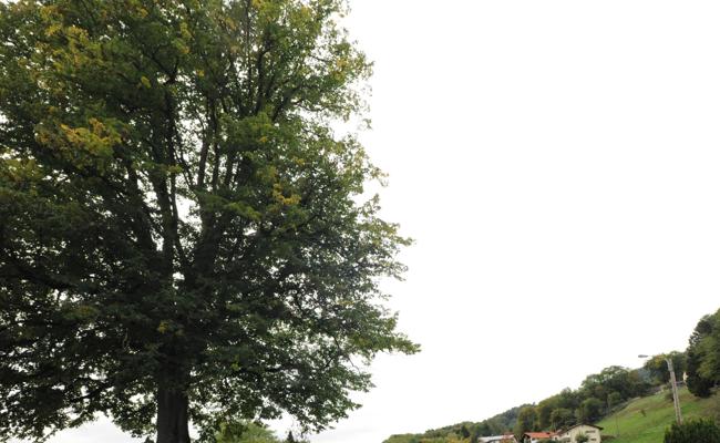 Zonentauschen für Häuslebauer