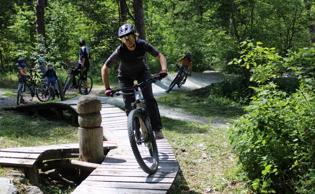 Das «Sex-Wäldli» soll schon bald zum Bike-Hotspot werden