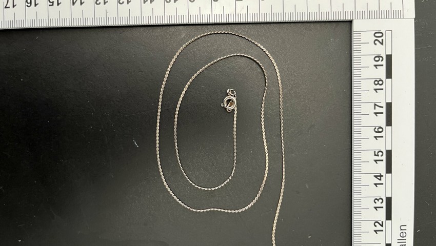 Sicherstellung E 1.22 Halskette Sicherstellung E 1.22 Halskette