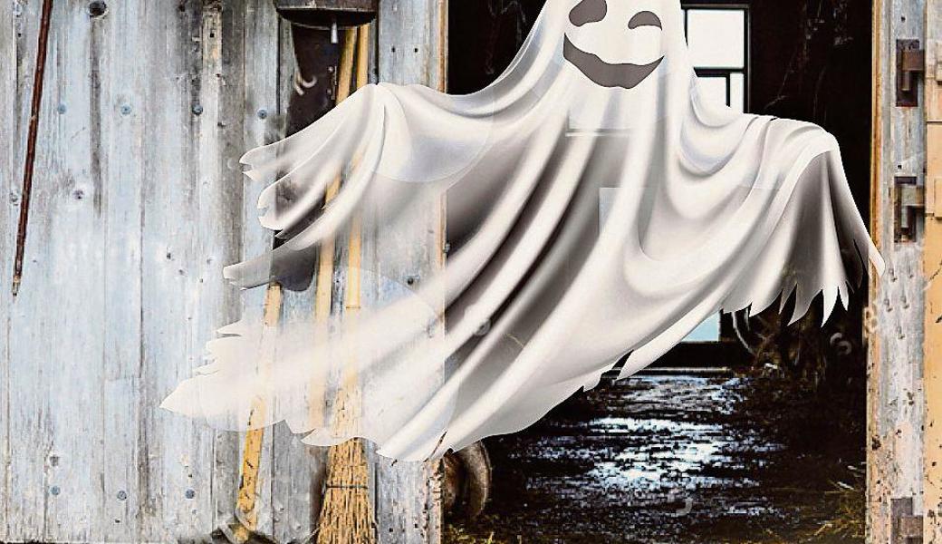 Aufgeführt wird das Theaterstück «Die Geister vom Lindenhof». 