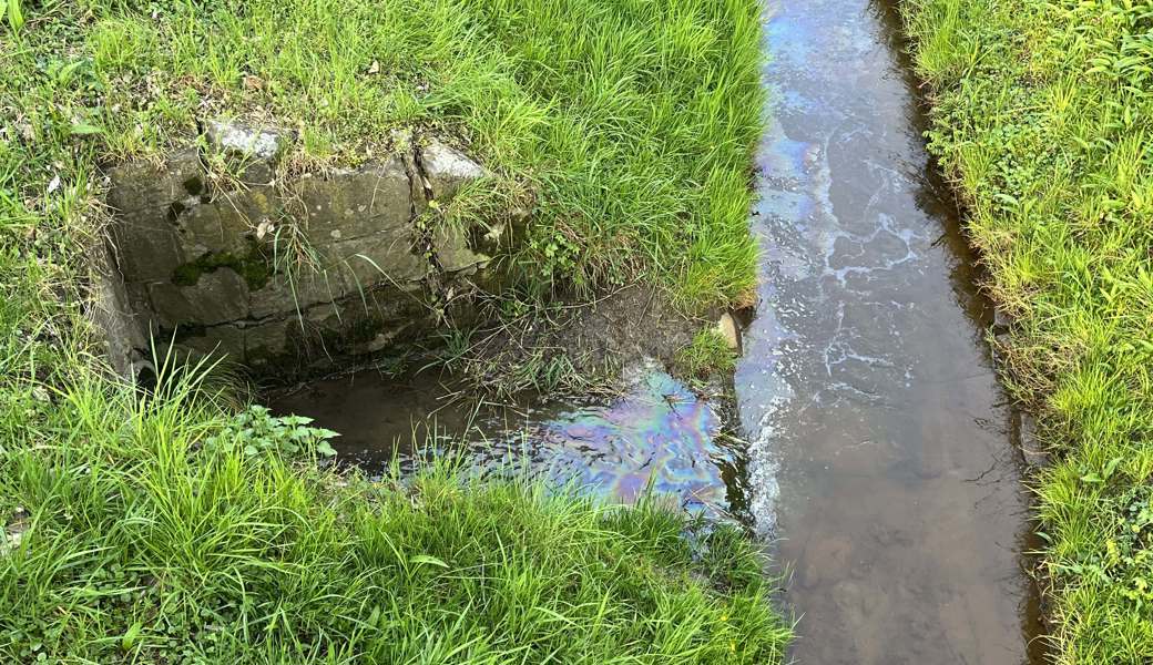 In Rebstein gelangte verschmutztes Wasser in den Eberliwiesbach.