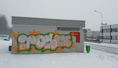 «Dieses Ausmass ist neu»: Mehrere Sprayereien in Berneck entdeckt