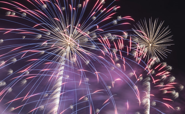 Das lange Warten am 31. Dezember: Silvester mit Pizza und Dackel