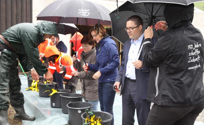 Rebhelfer im Regen