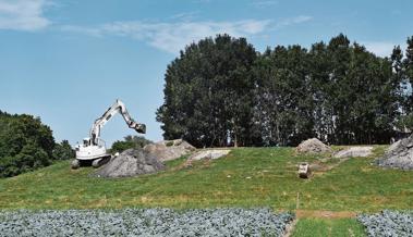 Kugelfang soll verschwinden