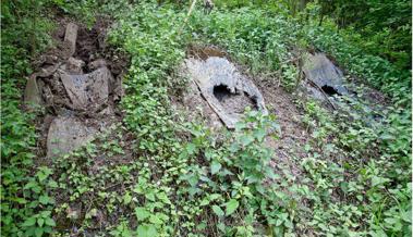 Alte Schiessanlagen sanieren, auch wenn sie im Wald liegen