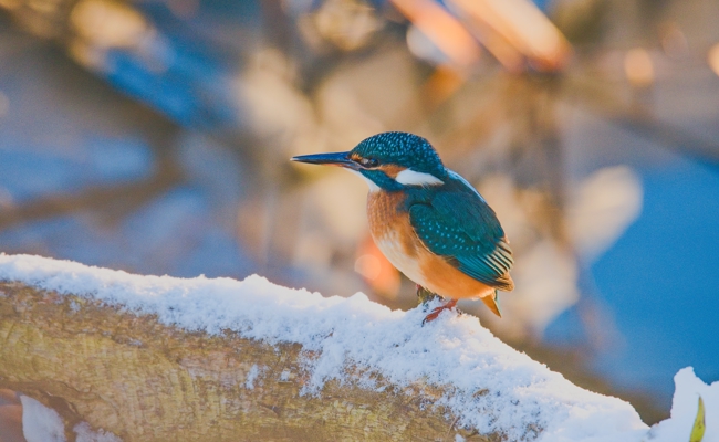 Im perfekten Anzug für die Wintertage unterwegs