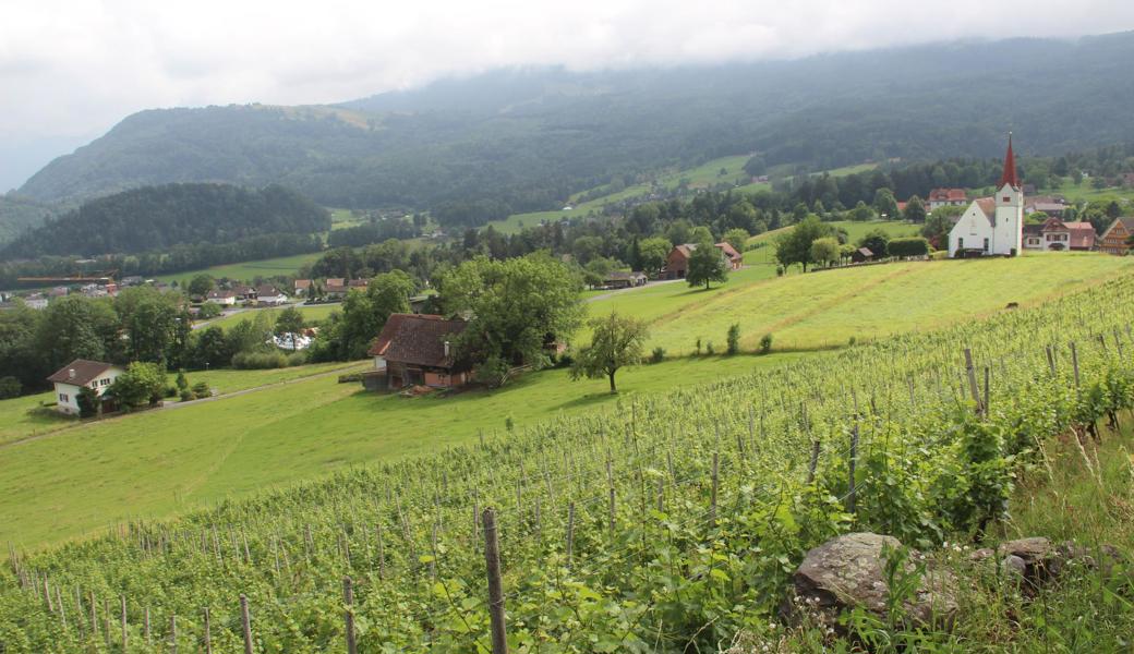 Falls Eichbergs Präsident Alex Arnold im September zum neuen Chef von Rebstein gewählt wird, können die Eichberger Ende November Arnolds Nachfolgerin oder Nachfolger bestimmen. Falls Eichbergs Präsident Alex Arnold im September zum neuen Chef von Rebstein gewählt wird, können die Eichberger Ende November Arnolds Nachfolgerin oder Nachfolger bestimmen.