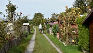 In ein Dutzend Schrebergartenhäuser eingebrochen: Diebe erbeuten Bargeld und Gartenwerkzeuge