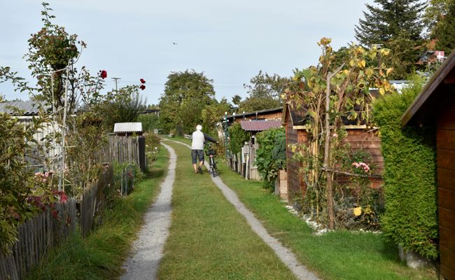 In ein Dutzend Schrebergartenhäuser eingebrochen: Diebe erbeuten Bargeld und Gartenwerkzeuge