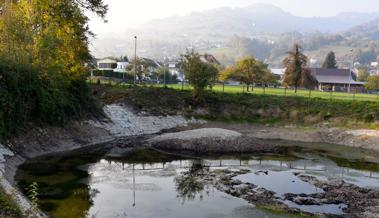 Neue Insel: Nicht nur im Bodensee