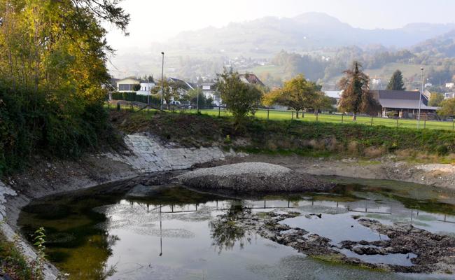 Neue Insel: Nicht nur im Bodensee