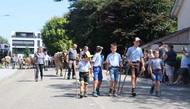 Der Alpsommer ist vorüber - Bilder von der Alpabfahrt in Rüthi
