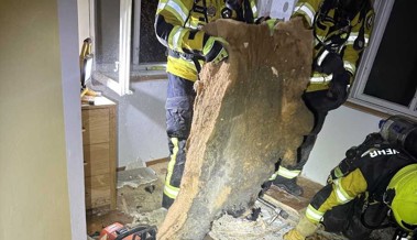 Vor dem Zubettgehen entdeckte eine Frau in ihrer Wohnung einen Mottbrand