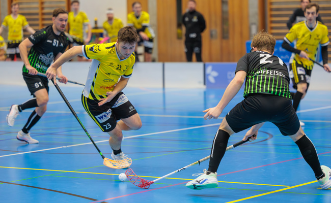 Starke Gators-Offensive trifft auf wacklige Glattal-Defensive – Showdown um Rang sechs