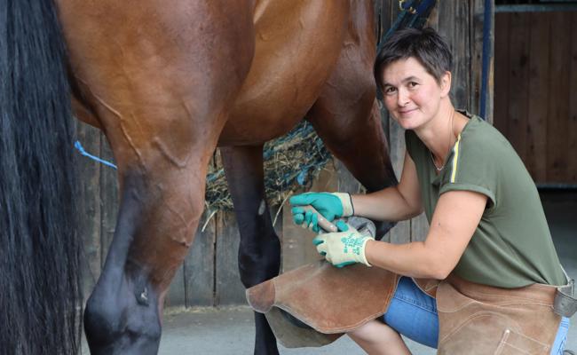 Gesunde Hufe stärken das Pferd