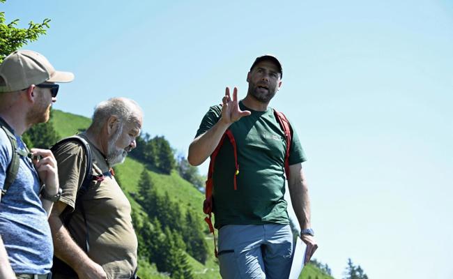 Der Stauberenfirst – Spannungsfeld zwischen Wald, Wild und Wandel