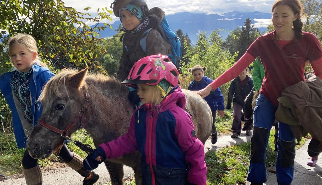 Die Kinder genossen einen Vormittag zusammen mit Eseln und Ponys.