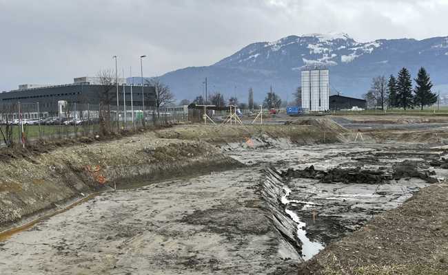 Keine Bäume nahe beim Gefängnis mehr, weil die Strasse verlegt wird