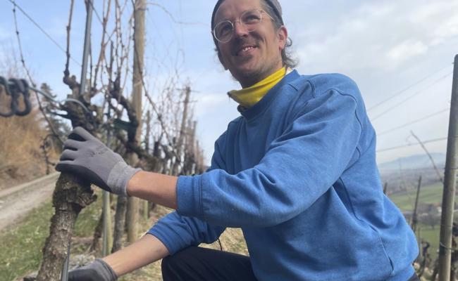 So sieht antiautoritär aufgezogener Wein aus