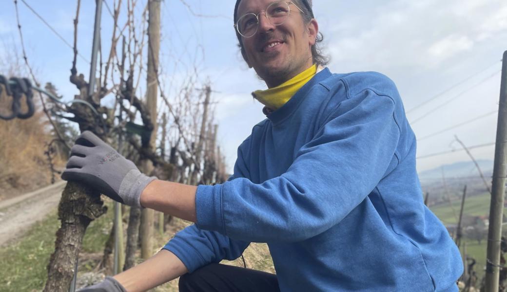 Philipp Grob betreut unter anderem am Huberberg in Altstätten Weinstöcke.