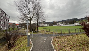 Projekte auf gutem Weg, trotz Einwänden - So lief es an der Marathonversammlung
