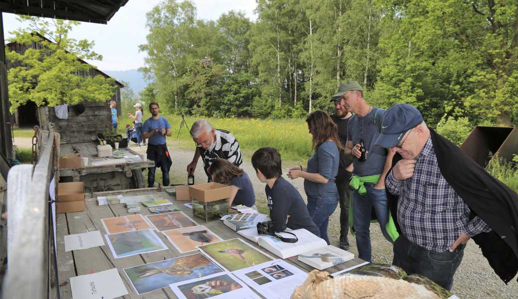 Der Verein Pro Riet vermittelt Wissenswertes zum Naturschutzgebiet.   