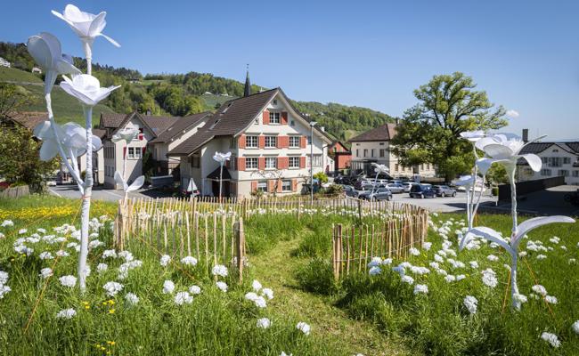 Leider nein: Berneck wird nicht Dorf des Jahres