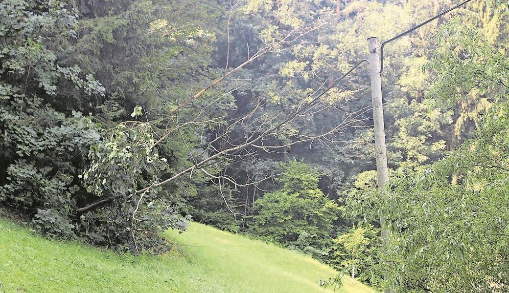 Auch die Telefonleitung nach Husen war betroffen.