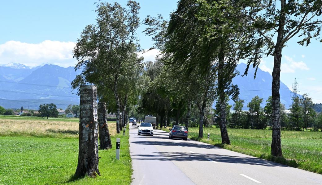 Nicht alles kann so geregelt werden, dass es in jedem Fall passt. Nicht alles kann so geregelt werden, dass es in jedem Fall passt.