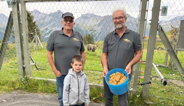 Spende von Melezitosehonig an den Bärenpark Arosa