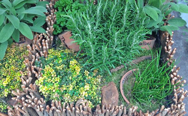 Gartentipp: Die magischen Fünf
