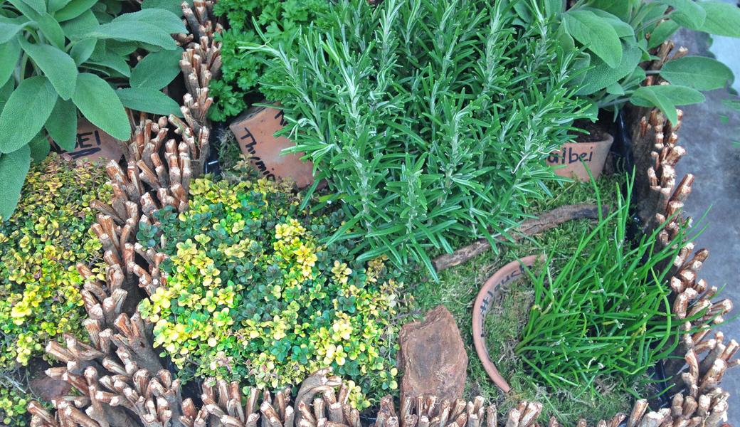 Für die moderne, schmackhafte und gute Küche sind frische Kräuter unentbehrlich. Für die moderne, schmackhafte und gute Küche sind frische Kräuter unentbehrlich.