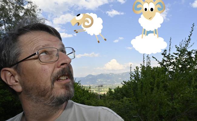 Seitenblick: Der Zoo in den Wolken