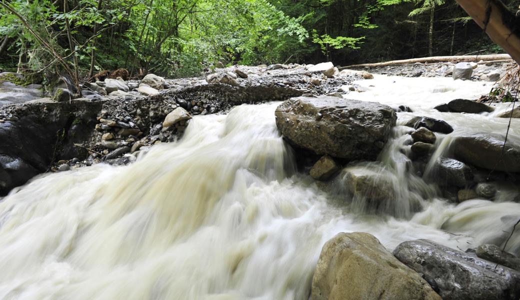 Der Brendenbach nach dem Juli Hochwasser 2014.