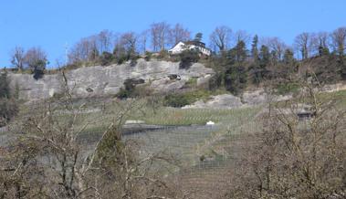 Thal überholt Balgach als Weinbaugemeinde