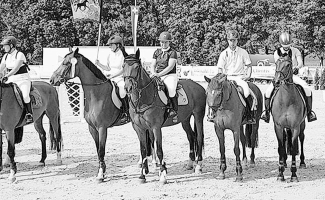 Pferdezuchtverein Rheintal erfolgreich