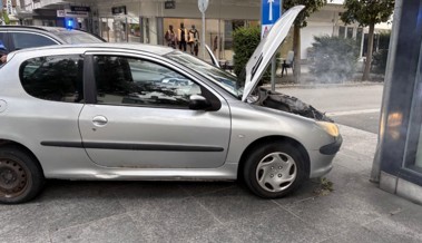 51-jähriger Rumäne missachtet Haltezeichen beim Zoll, flüchtet und baut Unfall