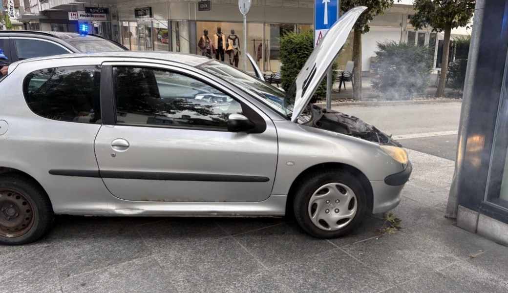 51-jähriger Rumäne missachtet Haltezeichen beim Zoll, flüchtet und baut Unfall