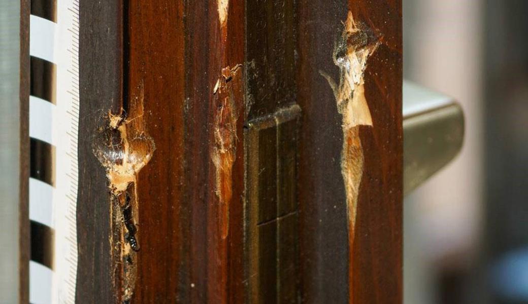 Die Einbrecher hebelten Fenster und Türen auf.