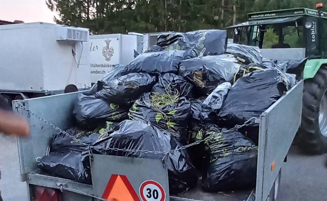 Der SC Rheintal hat die Säcke schon zugemacht