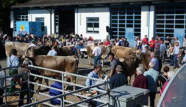 300 Tiere bewertet