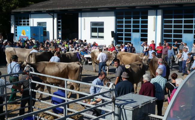 300 Tiere bewertet