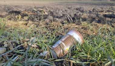 Im Saubermach-Modus: Gemeinde schafft neue Stelle gegen Littering