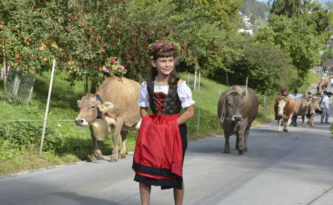 Der Herbstmarkt mit seinem Alpaufzug ist Höhepunkt im «Wyden»-Jahr