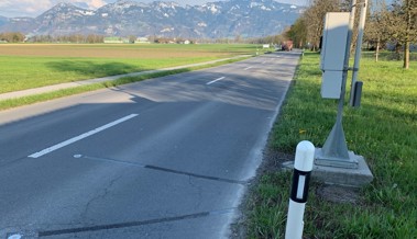 Umleitung in beide Richtungen: Die Rietstrasse ist am Freitag wegen Belagsarbeiten gesperrt