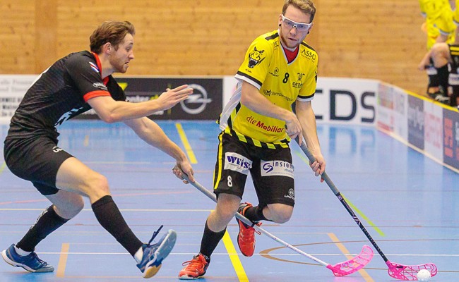 Heimspiel gegen den Spitzenreiter Egg für die Rheintal Gators