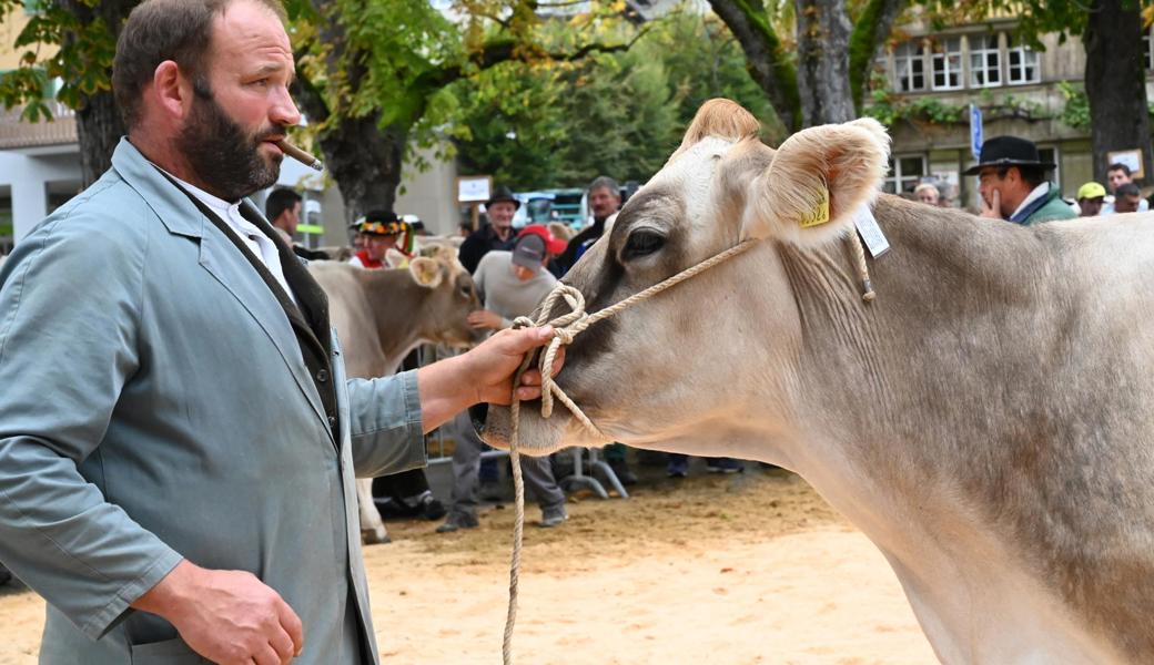 Gewinnt sie? Karl Räss 2019 mit einer seiner schönsten Kühe während der Endausmarchung im Ring. Gewinnt sie? Karl Räss 2019 mit einer seiner schönsten Kühe während der Endausmarchung im Ring.